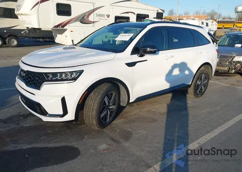 2023 Kia Sorento Ex из США, поврежденный, VIN 5XYRH4LF5PG229866